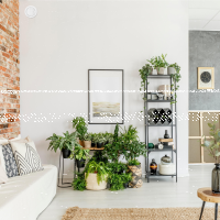 Lüftungsgitter mit Rückstauklappe